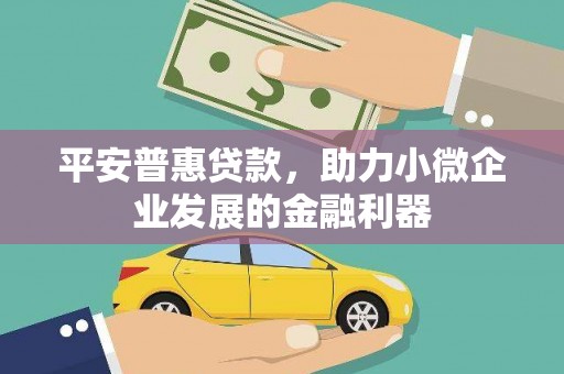 巴中平安普惠贷款，助力小微企业发展的金融利器