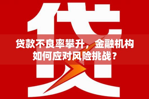 巴中贷款不良率攀升，金融机构如何应对风险挑战？