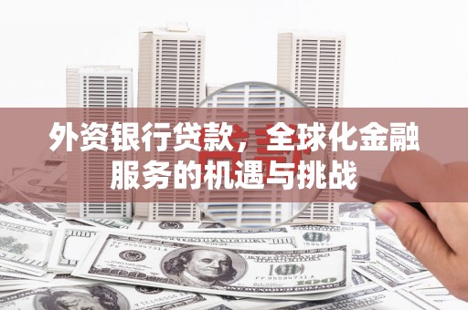 巴中外资银行贷款，全球化金融服务的机遇与挑战