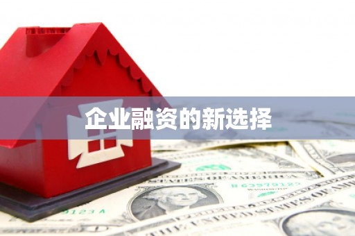 巴中企业融资的新选择