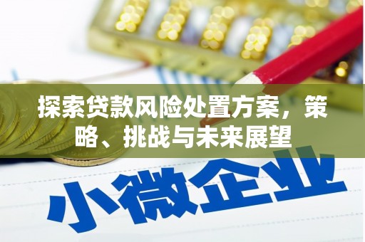 巴中探索贷款风险处置方案，策略、挑战与未来展望