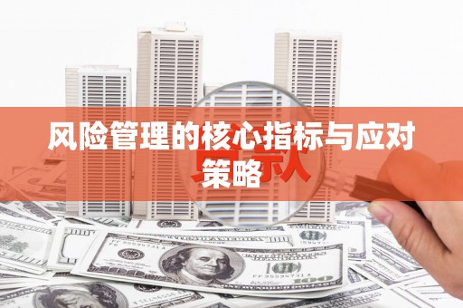 巴中风险管理的核心指标与应对策略