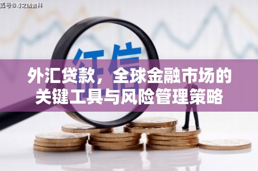 巴中外汇贷款，全球金融市场的关键工具与风险管理策略