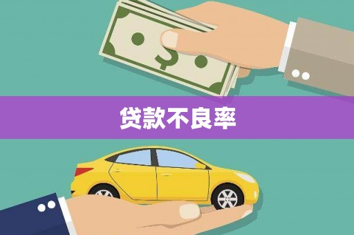 巴中贷款不良率