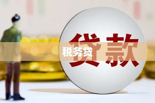巴中税务贷