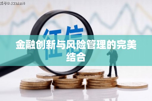 巴中金融创新与风险管理的完美结合