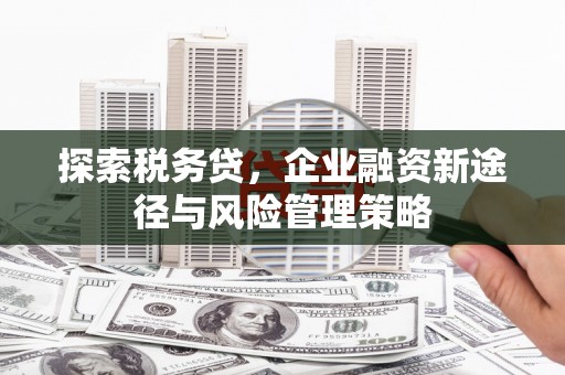 巴中探索税务贷，企业融资新途径与风险管理策略