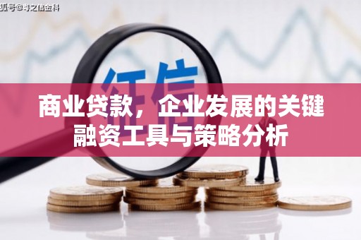 巴中商业贷款，企业发展的关键融资工具与策略分析