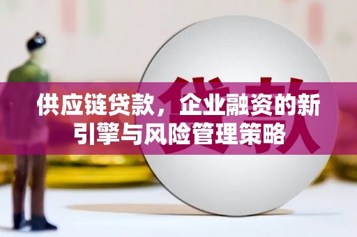 巴中供应链贷款，企业融资的新引擎与风险管理策略
