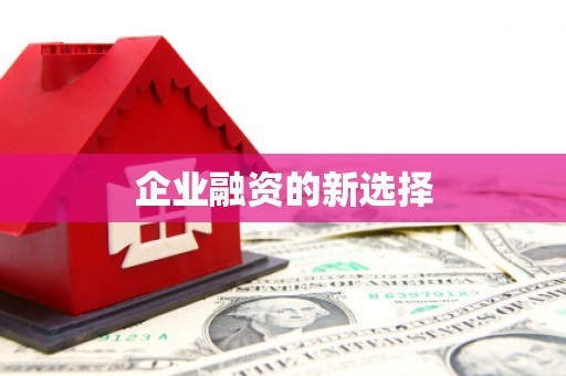 巴中企业融资的新选择