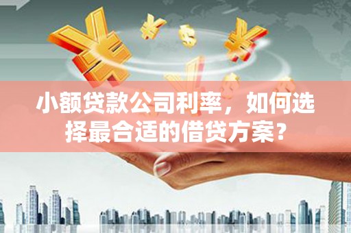 巴中小额贷款公司利率，如何选择最合适的借贷方案？