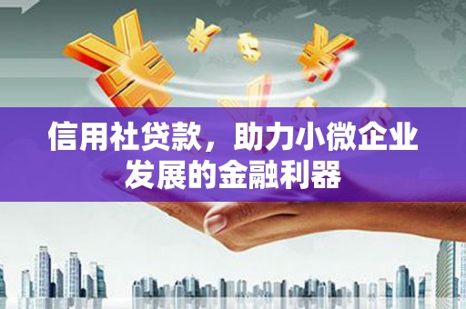 巴中信用社贷款，助力小微企业发展的金融利器
