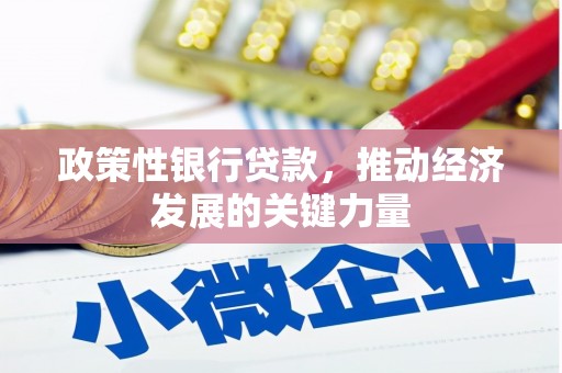 巴中政策性银行贷款，推动经济发展的关键力量