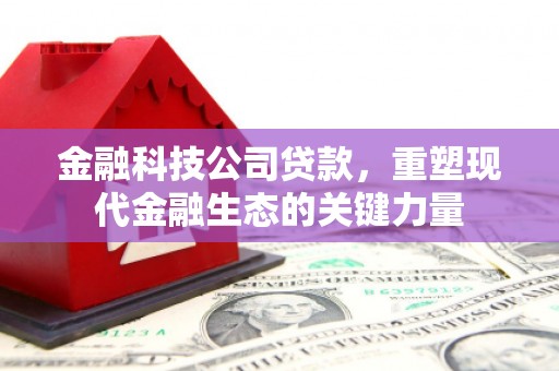 巴中金融科技公司贷款，重塑现代金融生态的关键力量