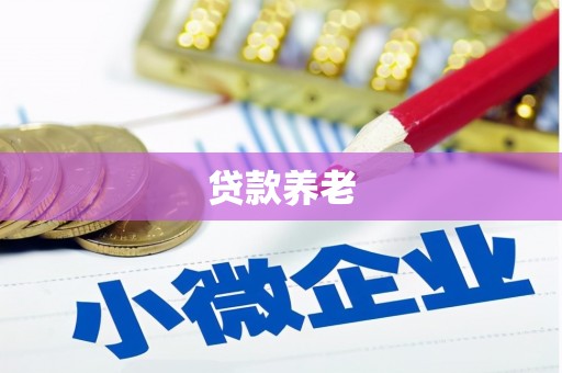 巴中贷款养老