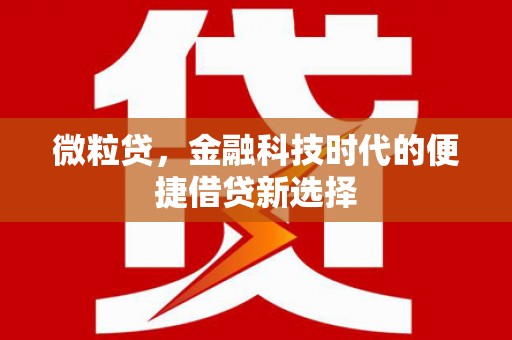 巴中微粒贷，金融科技时代的便捷借贷新选择