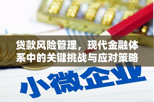 巴中贷款风险管理，现代金融体系中的关键挑战与应对策略