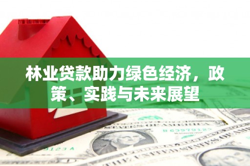 巴中林业贷款助力绿色经济，政策、实践与未来展望