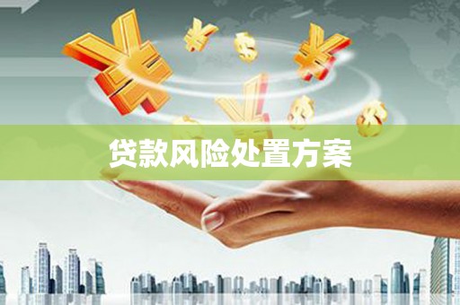 巴中贷款风险处置方案