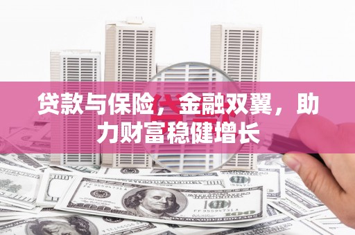 巴中贷款与保险，金融双翼，助力财富稳健增长