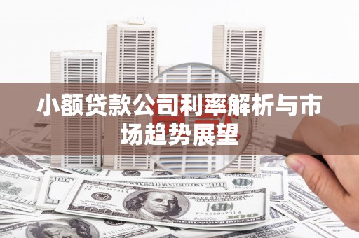 巴中小额贷款公司利率解析与市场趋势展望