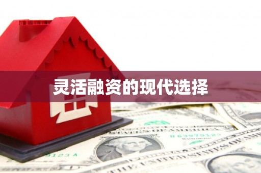 巴中灵活融资的现代选择