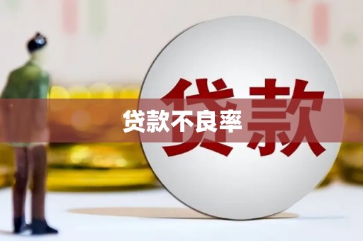 巴中贷款不良率