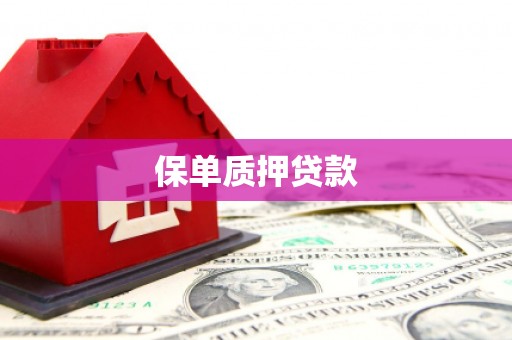巴中保单质押贷款