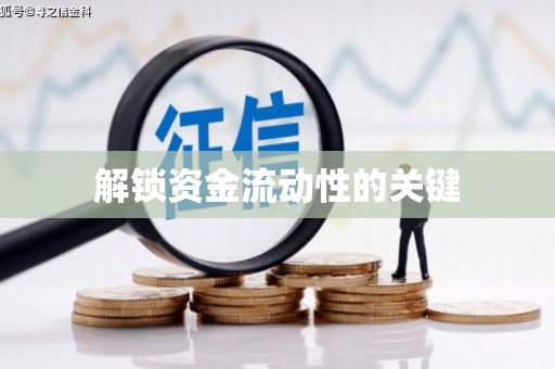 巴中解锁资金流动性的关键