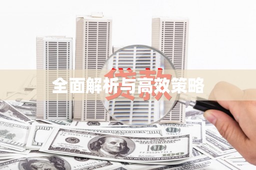 巴中全面解析与高效策略