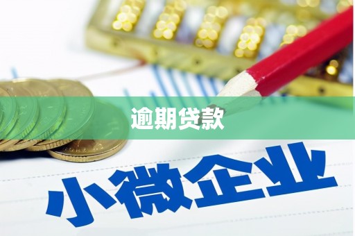 巴中逾期贷款