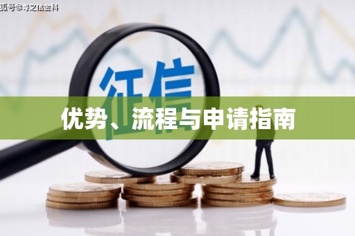 巴中优势、流程与申请指南