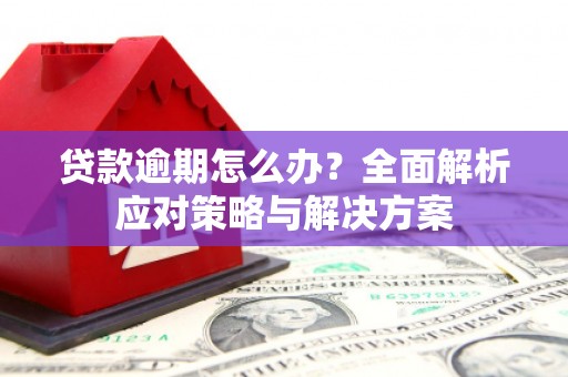 巴中贷款逾期怎么办？全面解析应对策略与解决方案