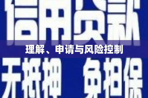 巴中理解、申请与风险控制