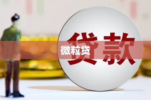 巴中微粒贷