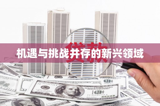 巴中机遇与挑战并存的新兴领域