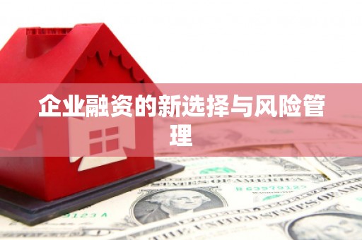 巴中企业融资的新选择与风险管理