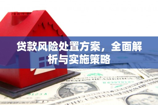 巴中贷款风险处置方案，全面解析与实施策略