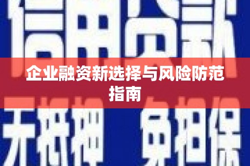 巴中企业融资新选择与风险防范指南