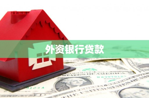巴中外资银行贷款