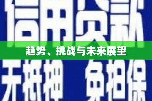 巴中趋势、挑战与未来展望