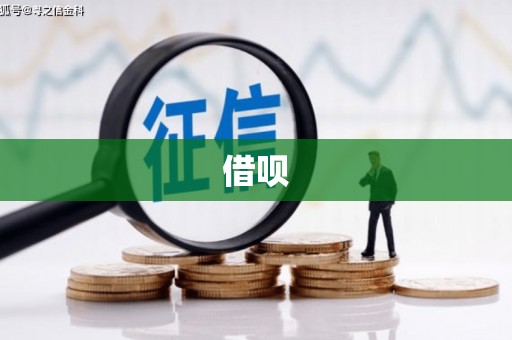 巴中借呗