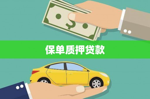 巴中保单质押贷款