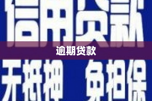 巴中逾期贷款