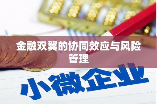 巴中金融双翼的协同效应与风险管理