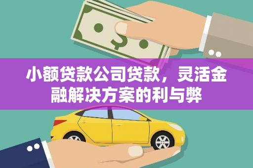 巴中小额贷款公司贷款，灵活金融解决方案的利与弊