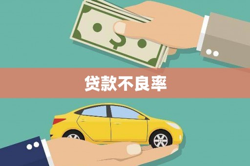 巴中贷款不良率