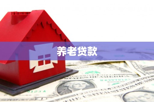 巴中养老贷款