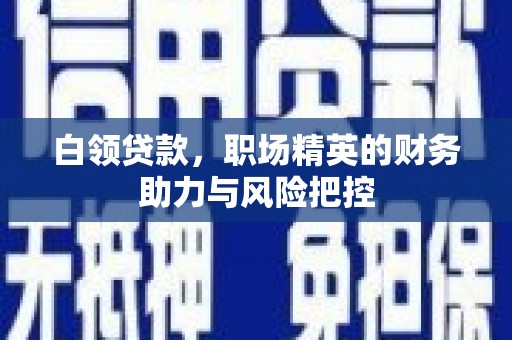 巴中白领贷款，职场精英的财务助力与风险把控
