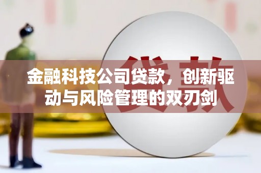 巴中金融科技公司贷款，创新驱动与风险管理的双刃剑